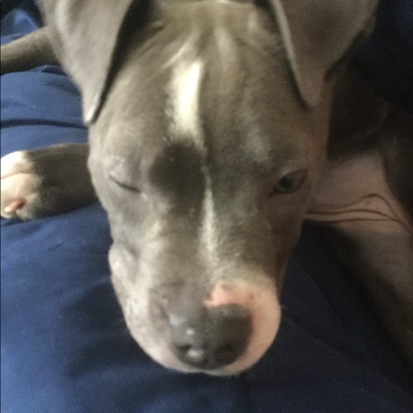 Meet your Posher, Jade - Picture 2 of 2